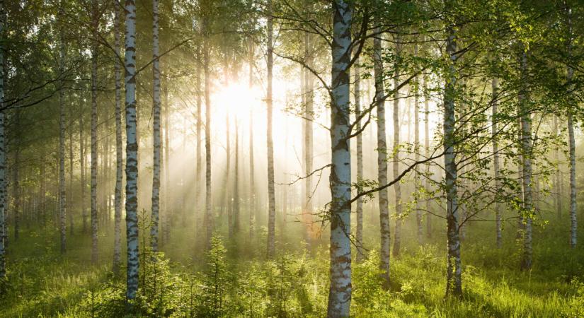 Sok veszély fenyegeti ezt a magyar térséget: ez lehet rá a megoldás?