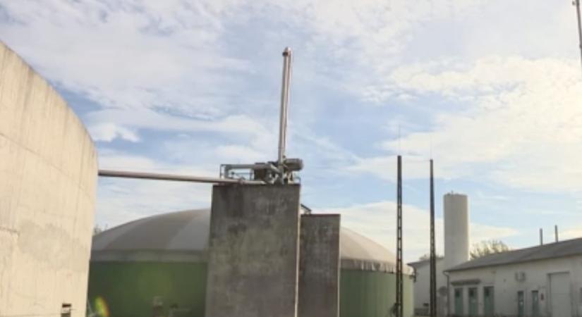 Olyan elviselhetetlen szag terjeng Dömsödön, hogy többen már elköltöznének