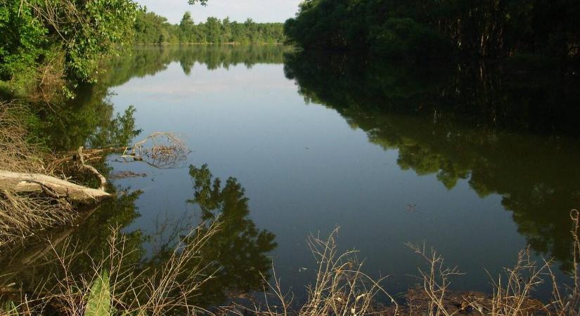 Furcsa állatot fogtak ki Paksnál a Dunából, mindenki tanácstalan vele kapcsolatban