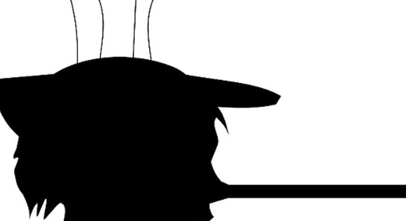 Ismét egy lista, amelyben élen járunk, a kamuzás