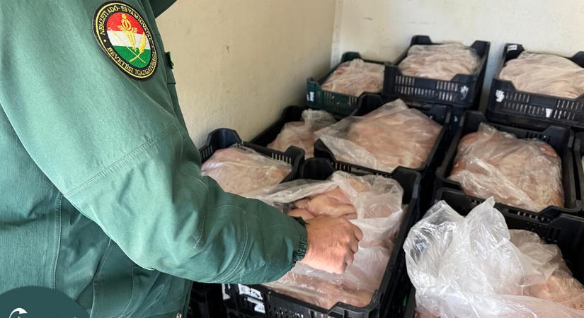 Több mint 800 kilogramm romlott csirkehúst foglalt le a NAV