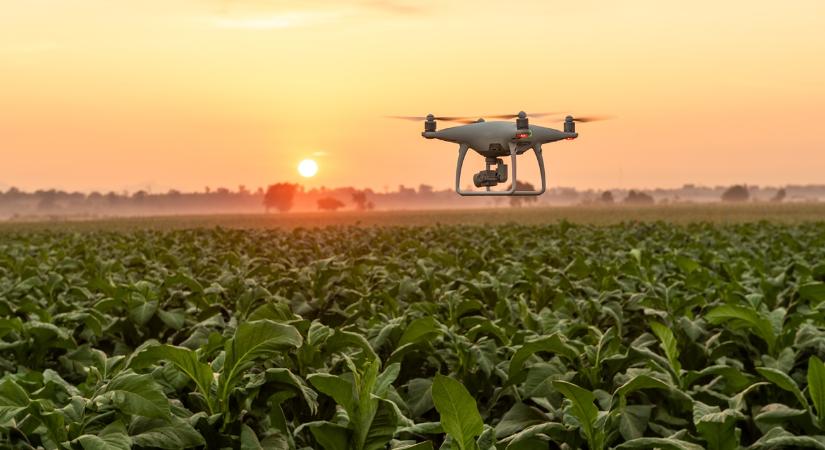 Vadkárfelderítés: ez a drón napi 24 órában repül, önmagát tölti és adatokat küld