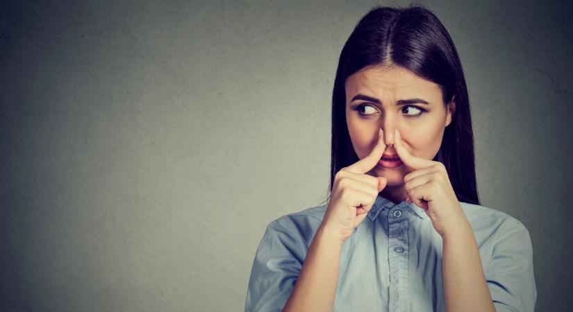 Sokan elköltöznének, mert hatalmas bűz van a magyar településen