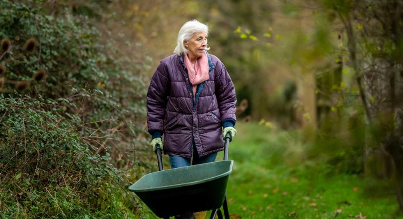 Hova mehet dolgozni egy 60 kertbarát? – Újrakezdés a nyugdíj után, nem csak pénzért