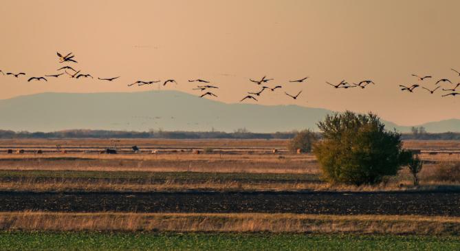 A Kékestetővel találkozott a darvakkal teli hortobágyi puszta