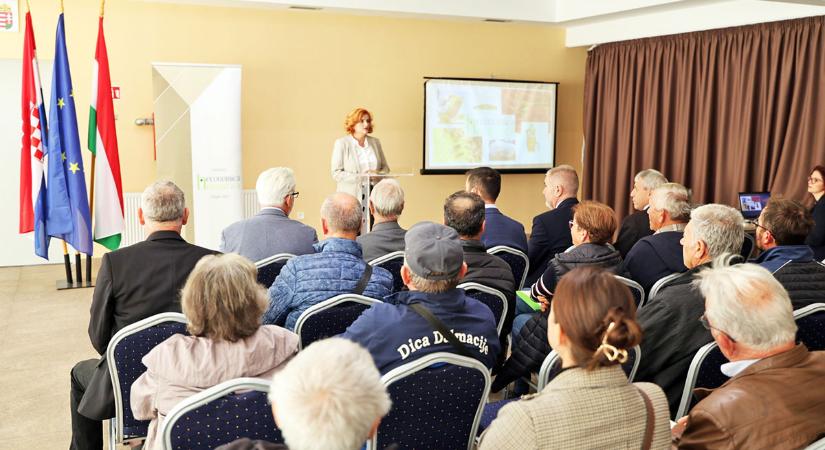 Október 29-én indult az új pályázat – projektbejelentő volt Kopácson