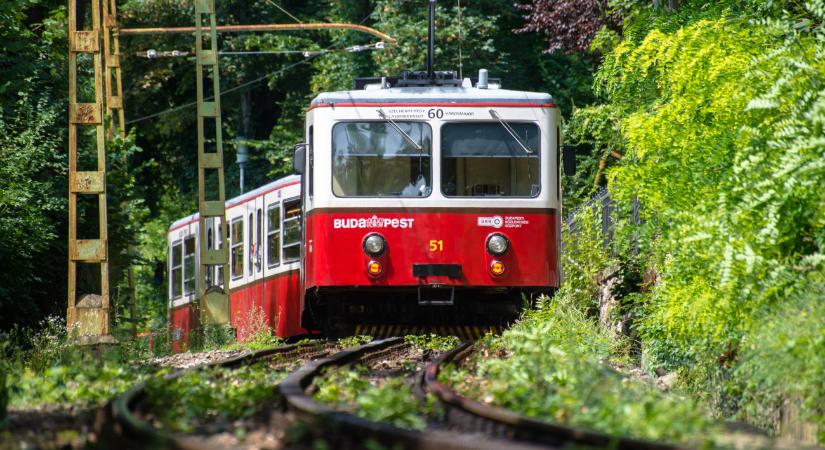 Hosszú ideig nem jár a fogaskerekű