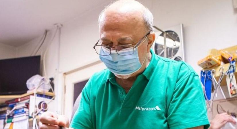 Parvovírus: Halálos veszélyre figyelmeztet a pécsi szakember