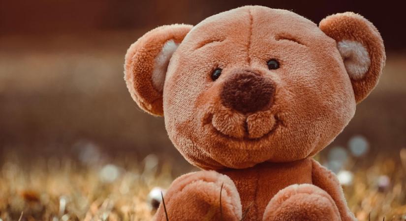 Piát és plüssállatot is lopott Bocskaikertben ez a férfi – videóval