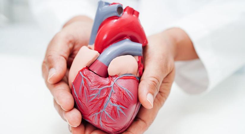 Így vigyázzunk a szívünkre: tippek, tanácsok