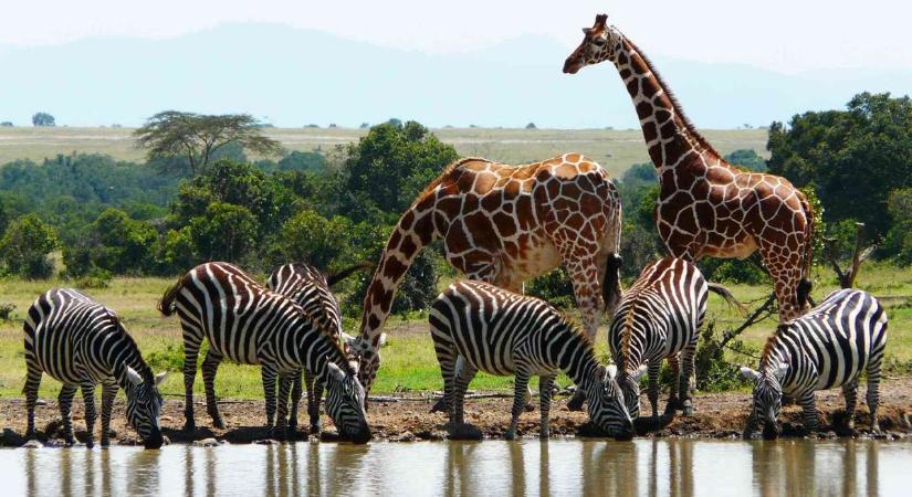 Kiderült merre utaznak a legtöbben Borsodból a téli időszakban - van egy-két igazi meglepetés a listán!