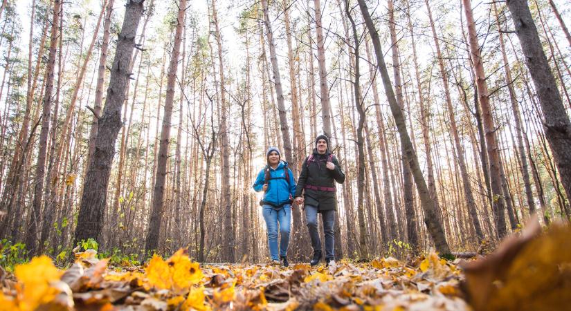 Így maradhatunk egészségesek: tippek a vírusszezonra