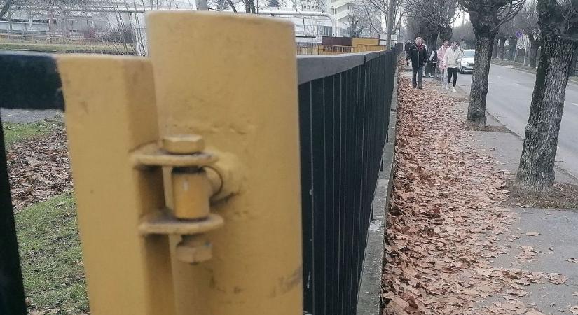 Pécs panaszkönyve: falevélhegyek, fagyos piac, influenza és egy jó hír is érkezett