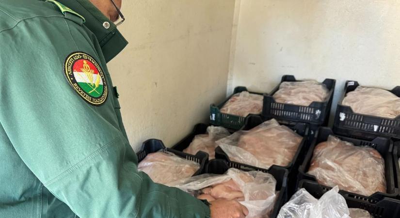 Az ellenőrök is meglepődtek, mikor megcsapta a bűz az orrukat! Nem találja ki, mit találtak a szlovák furgonban