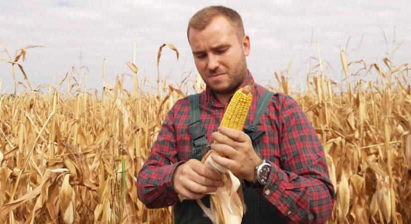 40 milliós támogatást kapnának a fiatal gazdák, de máris óriási a felzúdulás