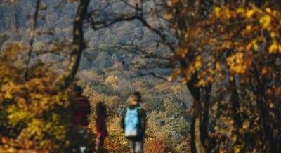 Budapest pénztárcakímélően – 10 ingyenes program novemberre