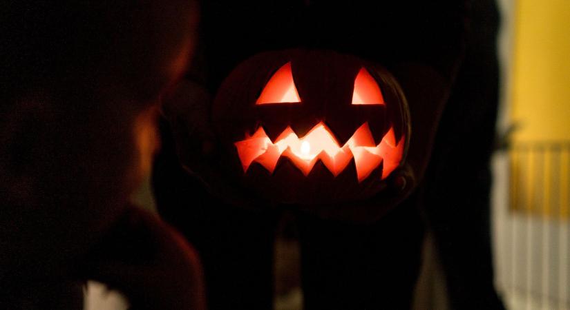 Rendkívüli fordulat a zebegényi tökfaragási botrányban, olyan akció kezdődött, ami még nem történt Magyarországon