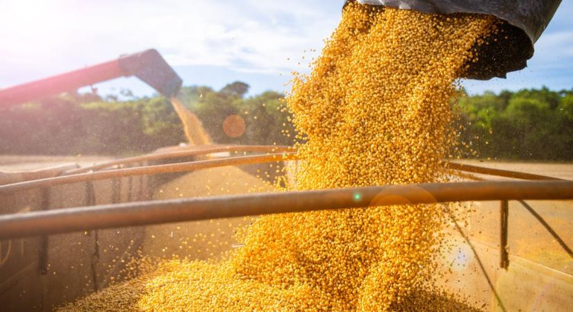 Lengyelország újabb indokot talált arra, hogy ne oldja fel az Ukrajnából származó mezőgazdasági export tilalmát