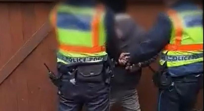 Az erdő közepéről vitték el Bocskaikert rémét! Videón a férfi, akinek a plüssállat se volt szent