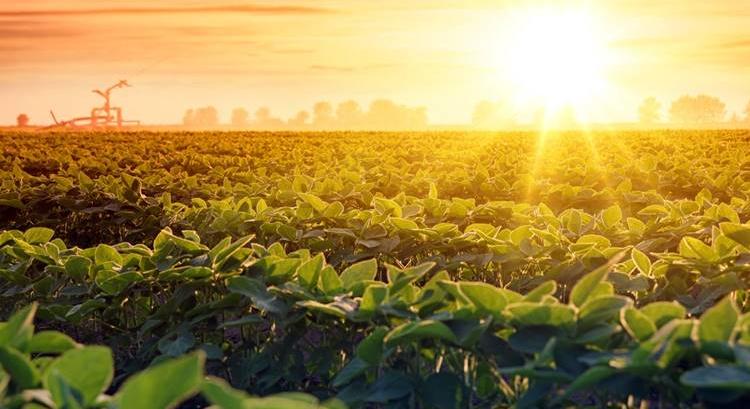 Októberben is vett földeket Fábiánsebestyénnél Mészáros Lőrinc és Várkonyi Andrea