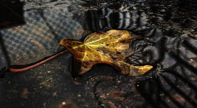 Nyugatra hoz kiadósabb esőt a vasárnap éjjel érkező hidegfront