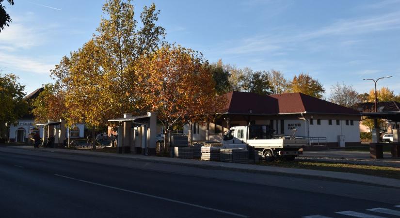 Hemzsegnek a patkányok Martfűn, így próbálják megfékezni az inváziót