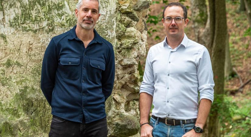 Csendes beavatkozások