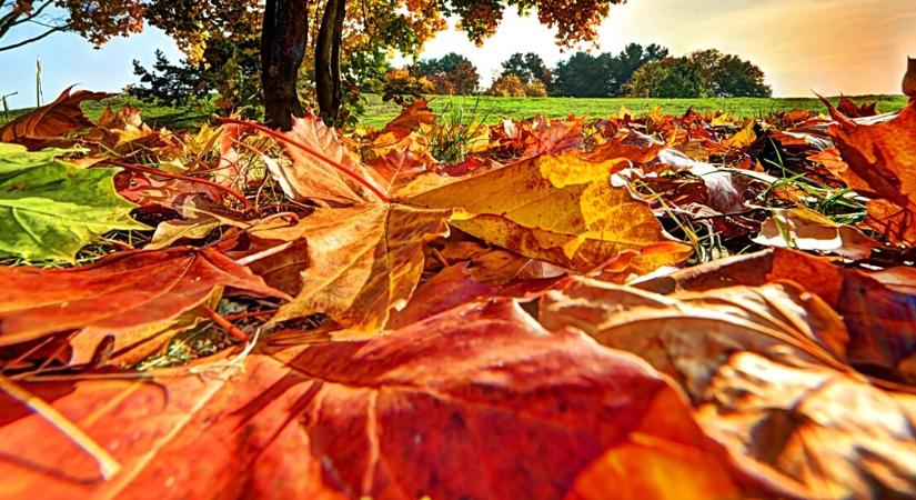 Meglepő, miért szeretjük ennyire az őszt – a kutatók szerint nem véletlen