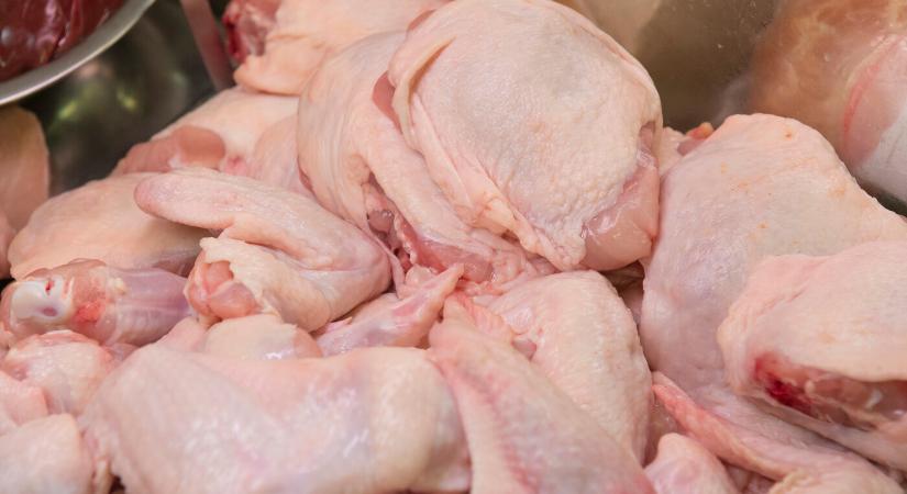 A lakosság nagy része egyetértene a brojlercsirkék tenyésztésének betiltásával