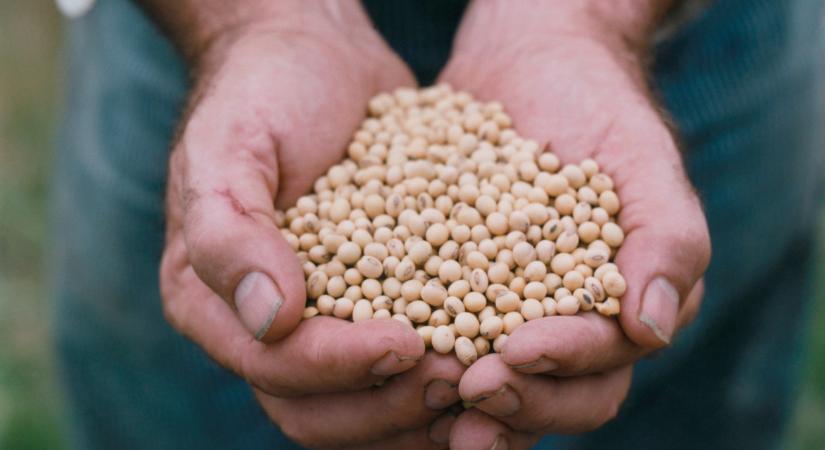 Meglett a vámháború következménye, új megállapodást kötöttek a kínaiak