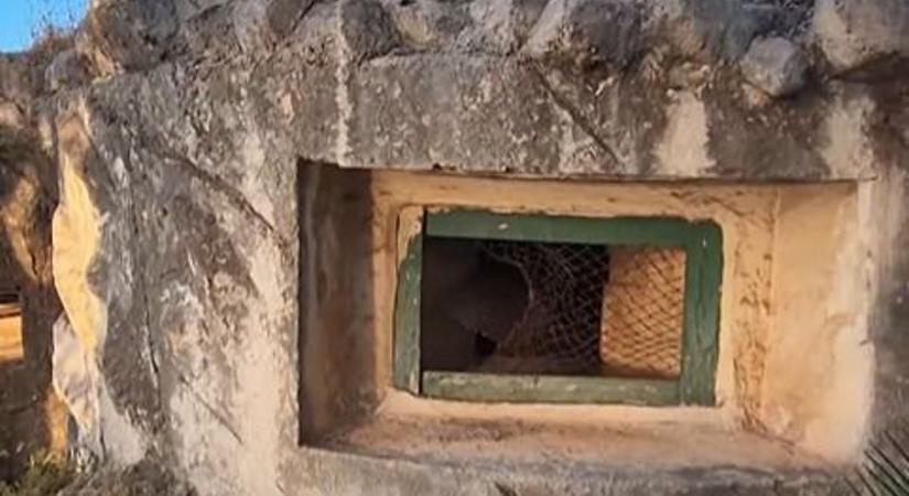 Nagyon durva, mit védtek a szögesdróttal! A NATO titkaiba sétált bele a Heves megyei srác – videó