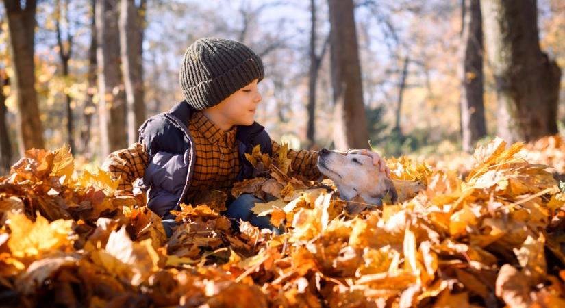 Nyugodt, enyhe hétvégénk lesz