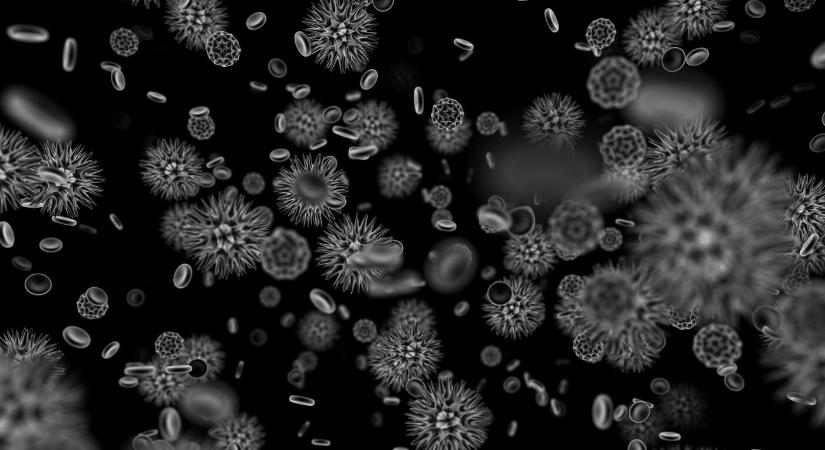 Megjelent a sárgaság az egyik nyitrai hajléktalanszállón, a lakókat beoltották