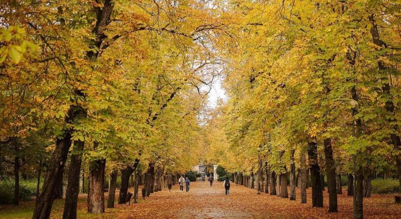 Napsütés vár ránk egész nap Hevesben? így alakul a szombati időjárás