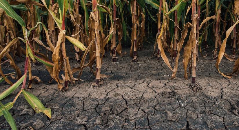 Megjelentek a 2025-ös kárenyhítéshez szükséges referenciaadatok