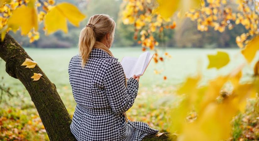 Forró tea és könyvillat – teszteld, mennyire ismered a magyar irodalom klasszikusait!