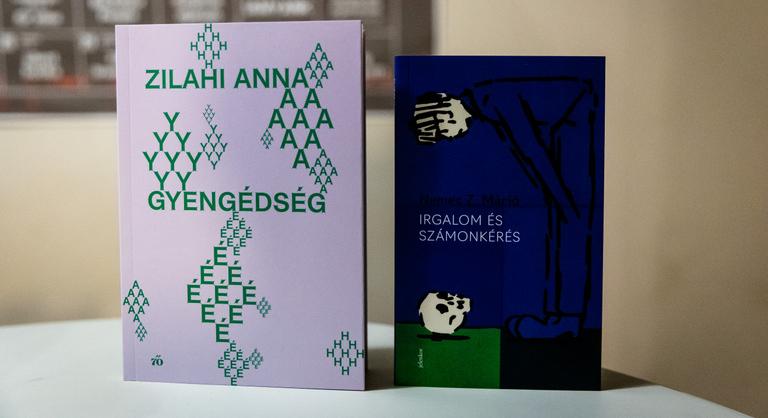 Versben nem lehet büntetlenül leírni, hogy Fidesz