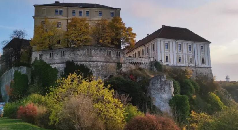 A veszprémi Leonardo da Vinci mozgásba hozta a világot, még ma is róla beszélnek