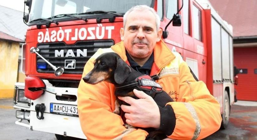 Olyanokat is megment kitartásuk, akikről már réges-rég lemondtak