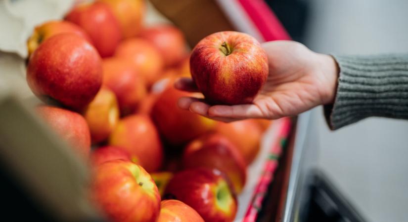 Aggódnak a lengyel gazdák: elképesztő, ami az almapiacon történt