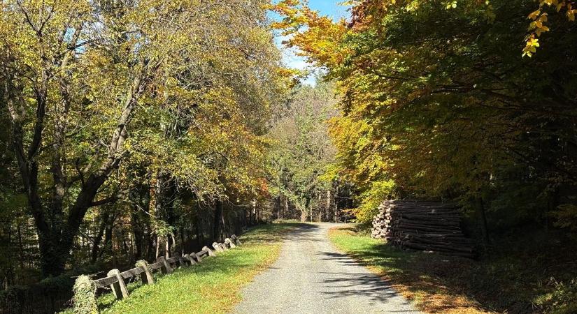 Ritka ajándékot hoz ez a novemberi hétvége - napfény kíséri az emlékezést