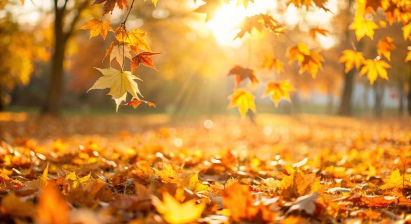 Elővehetjük szombaton a grillezőket Pécsen? Tartogat-e meglepetést a holnapi időjárás?