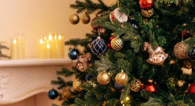 Fiatal nő szívét törte össze vőlegénye – hetedik karácsonyukat sem tölthetik a menyasszony családjával