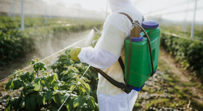 Változás jön a növénytermesztésben, ezek a gazdák most jól járhatnak