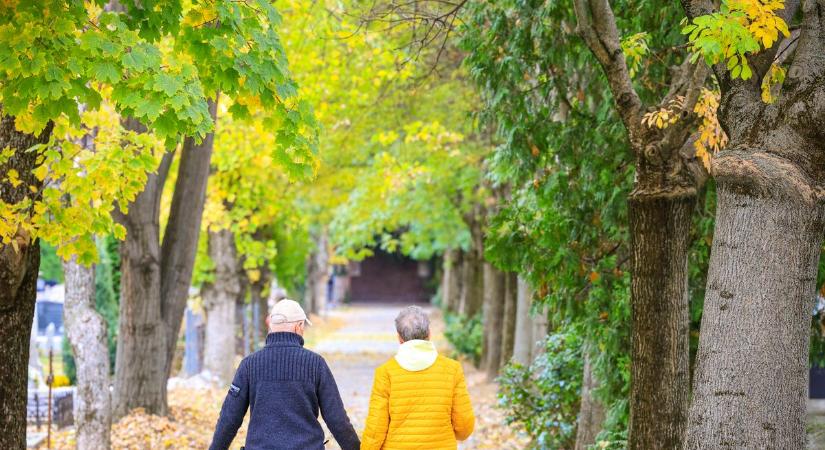 Bejárná a tolnai temetőket? Mutatjuk, kell-e hozzá esernyő