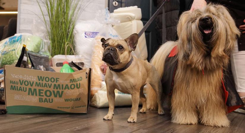 Nem pont úgy sikerült az adománygyűjtés, ahogy várták