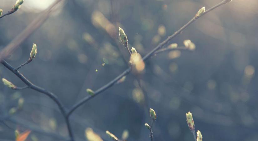 Az ősz mosolya kíséri a mindenszentek napját, ilyen időjárás vár ránk