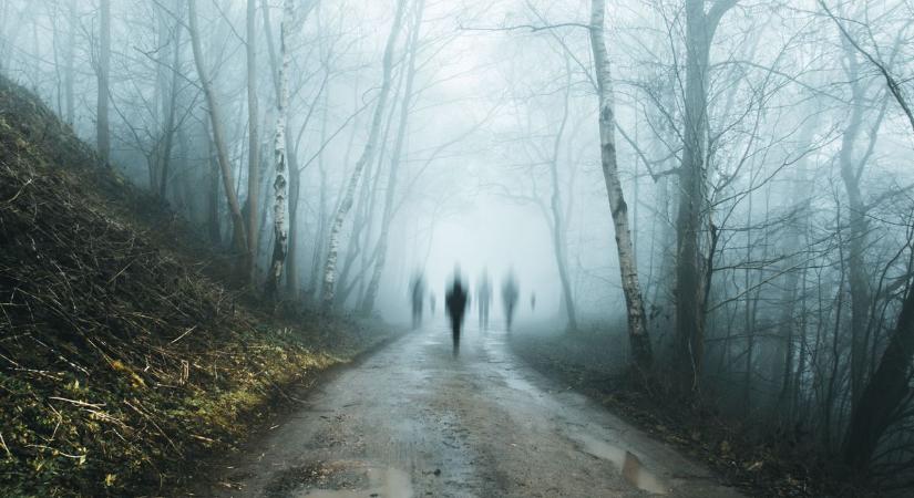 Kísértetjárás, ínycsiklandó hamburger és a BYD tervei