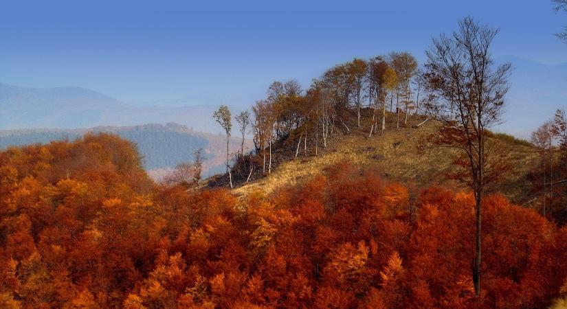 Durva rekord október 23-án