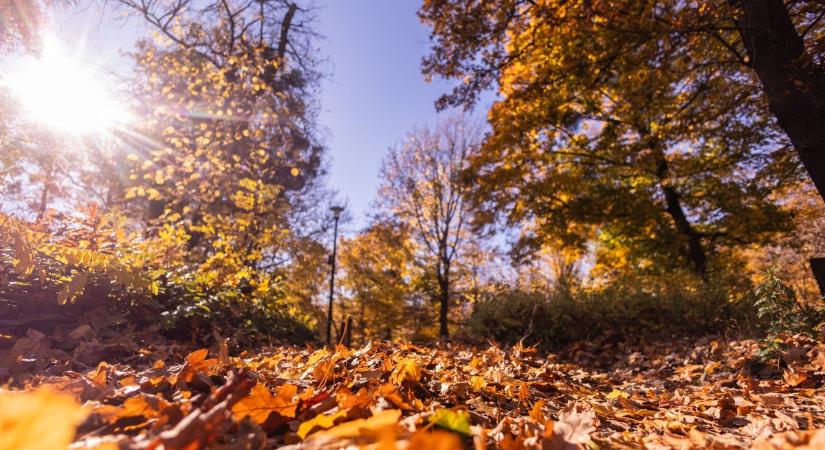 Tatabányán is marad az őszi enyheség – így alakul a szombati időjárás